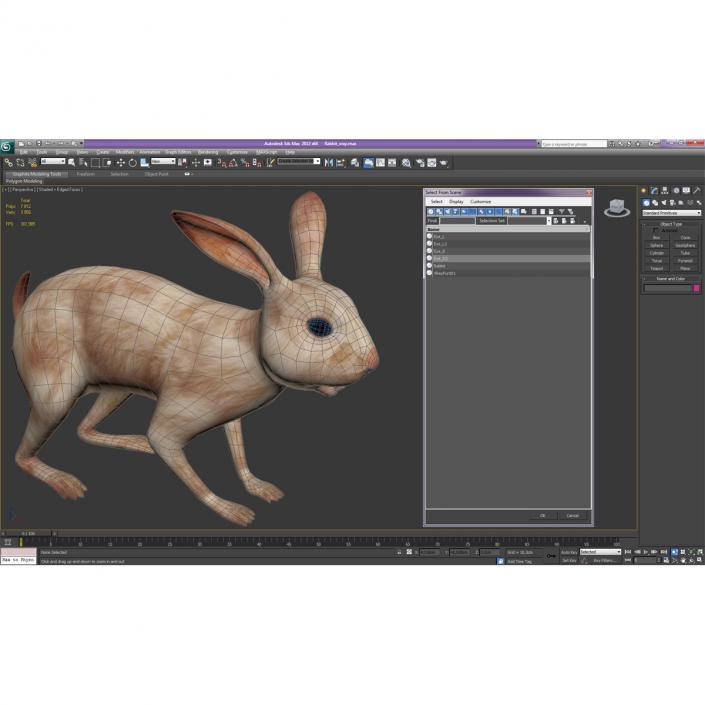 3D model Rabbit