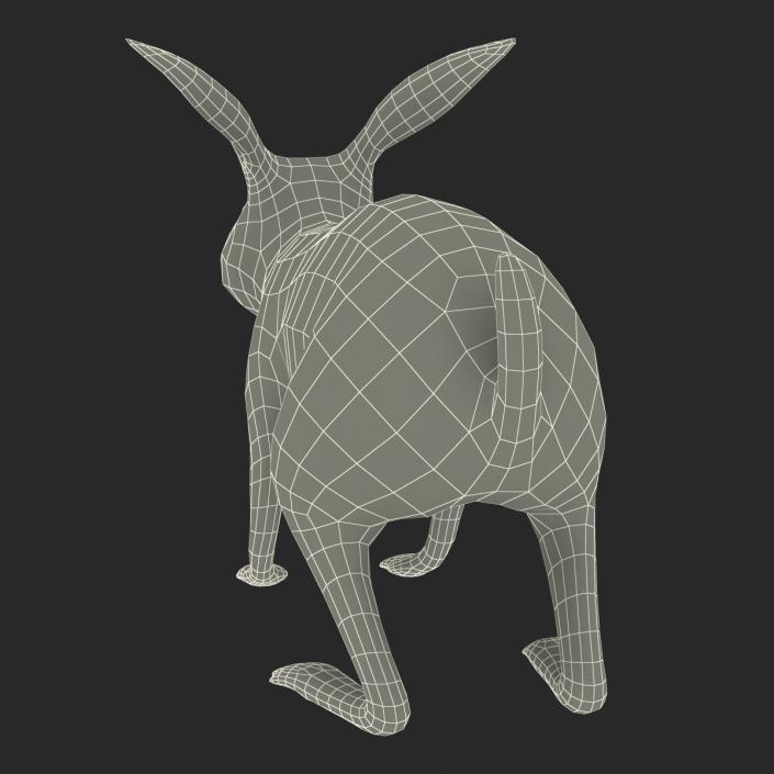 3D model Rabbit