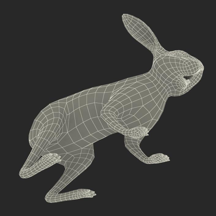 3D model Rabbit