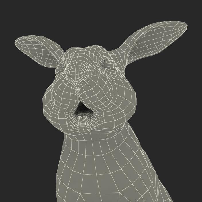 3D model Rabbit