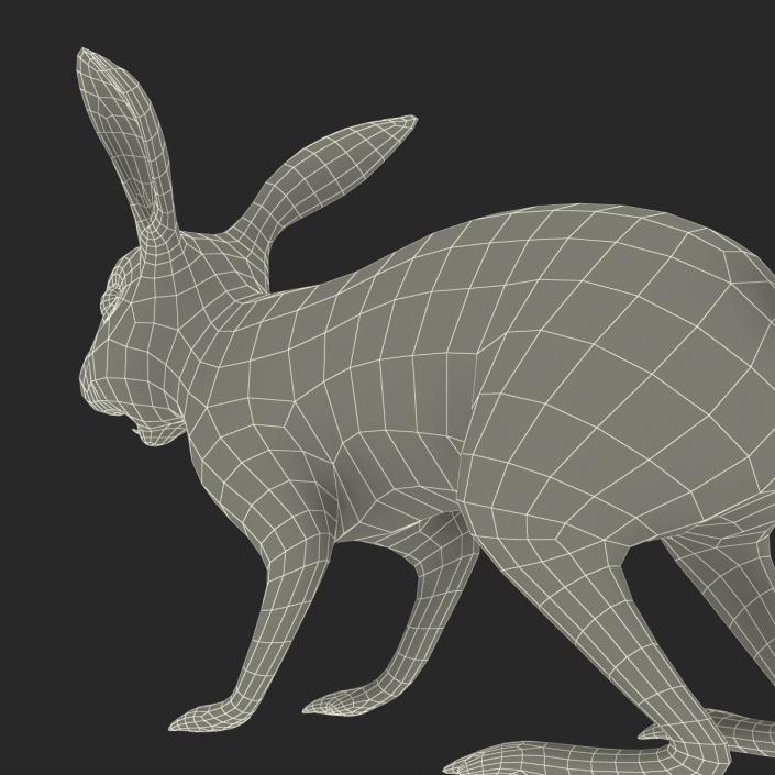 White Rabbit 3D