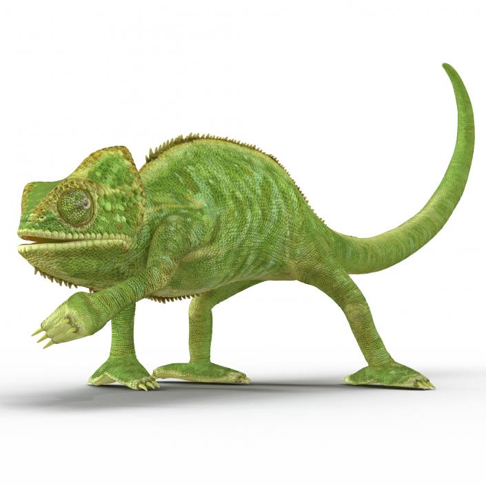 3D Chameleon Pose 3