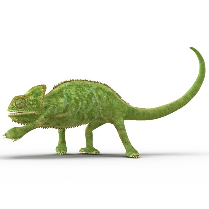 3D Chameleon Pose 3