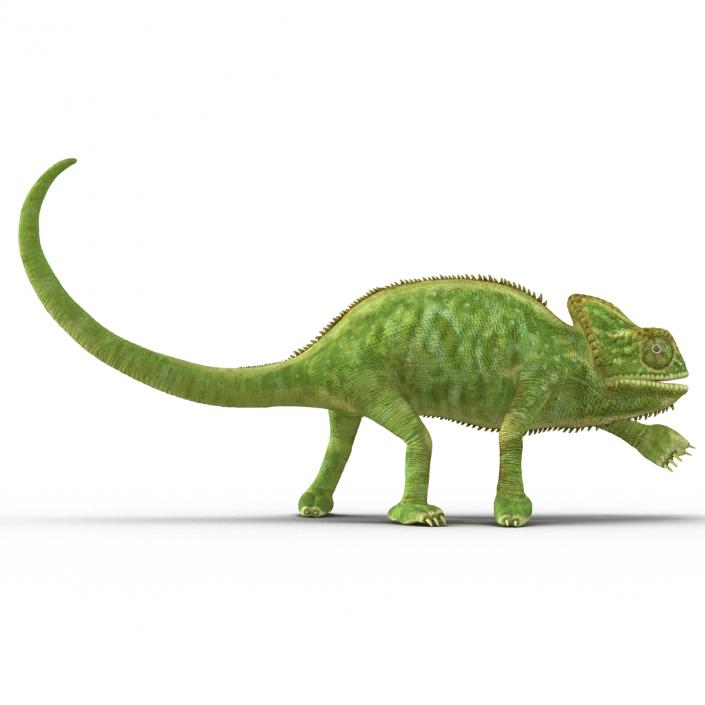 3D Chameleon Pose 3