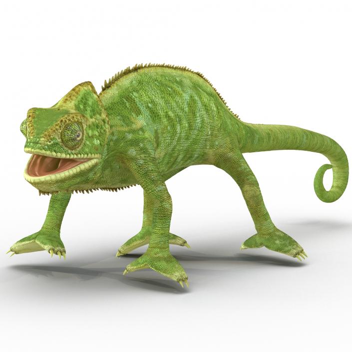 3D Chameleon Pose 4