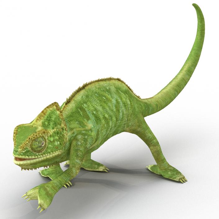 3D Chameleon Pose 3