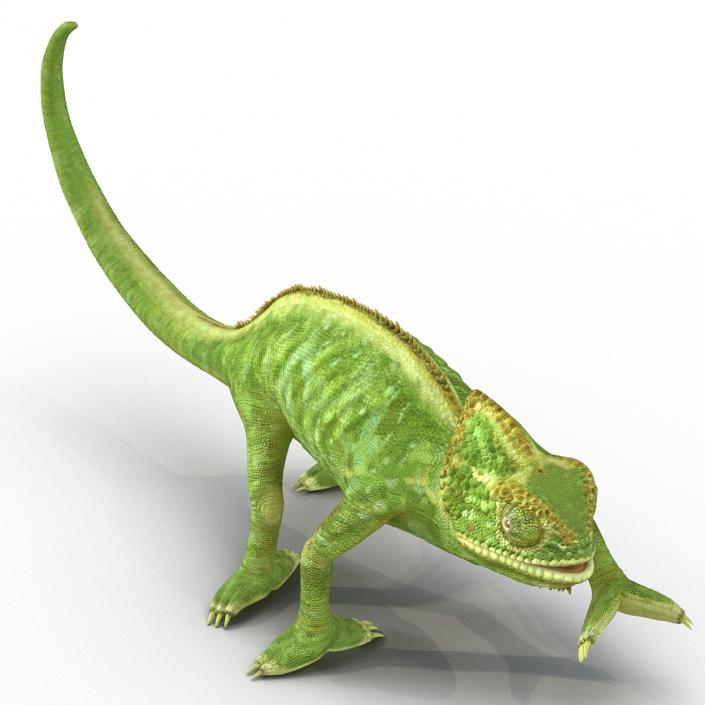 3D Chameleon Pose 3