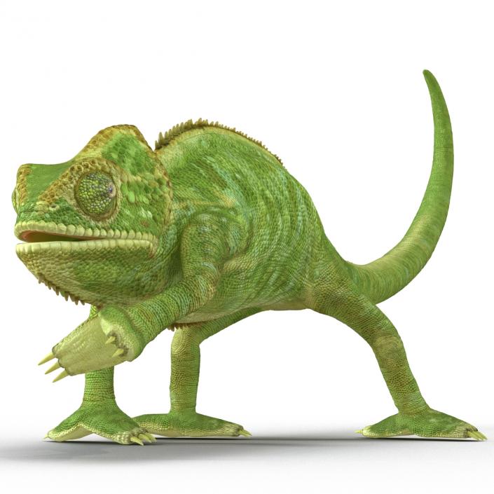 3D Chameleon Pose 3