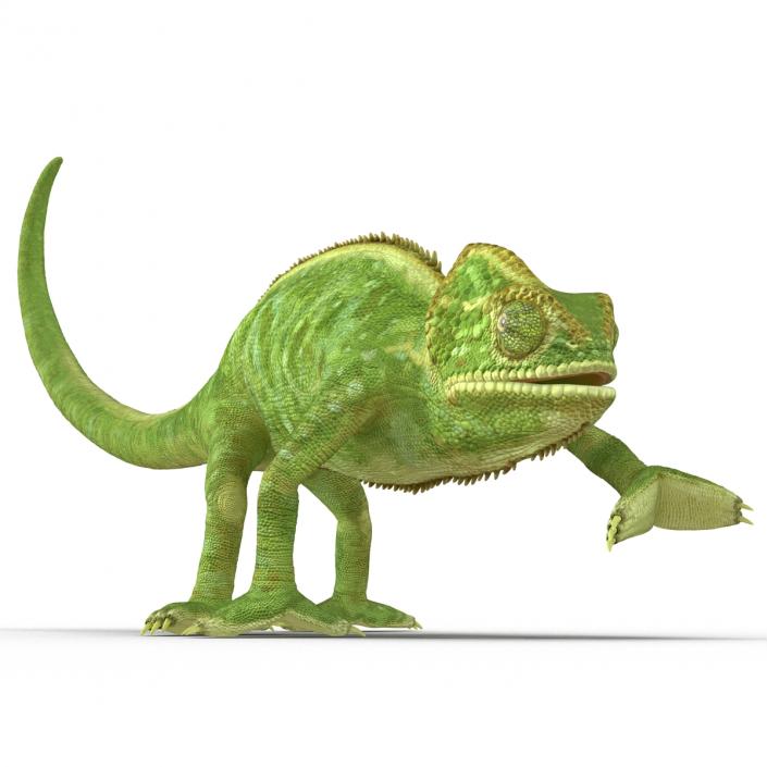 3D Chameleon Pose 3