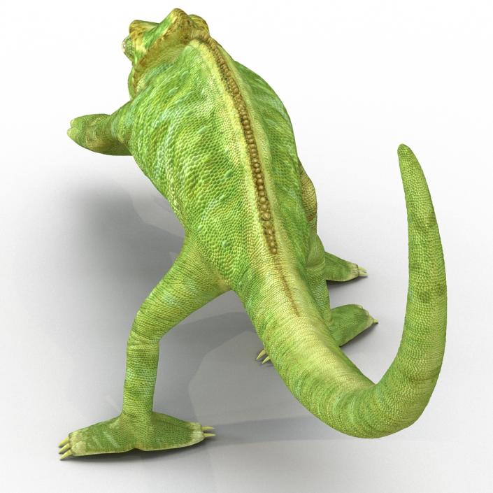 3D Chameleon Pose 3