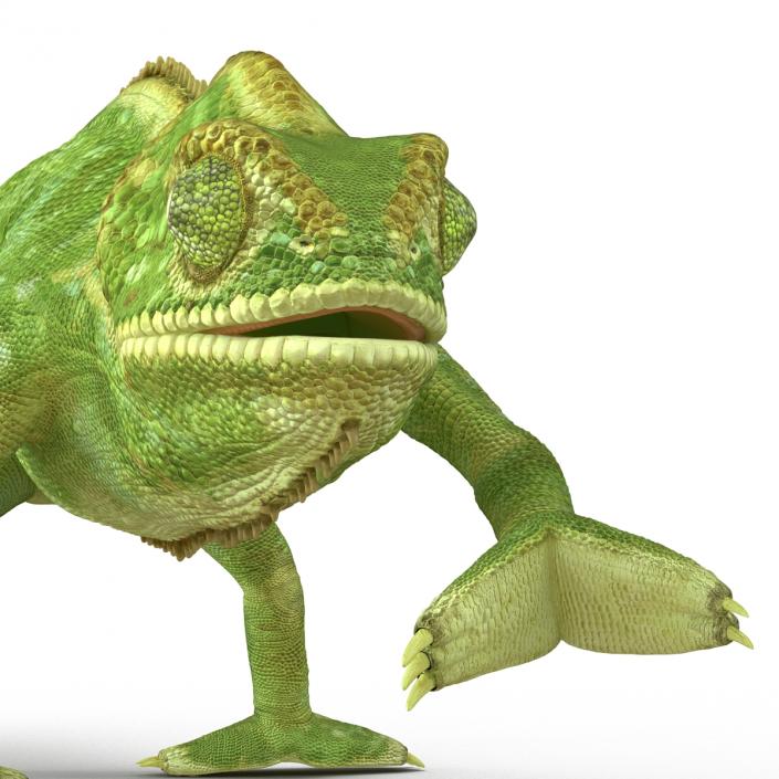 3D Chameleon Pose 3