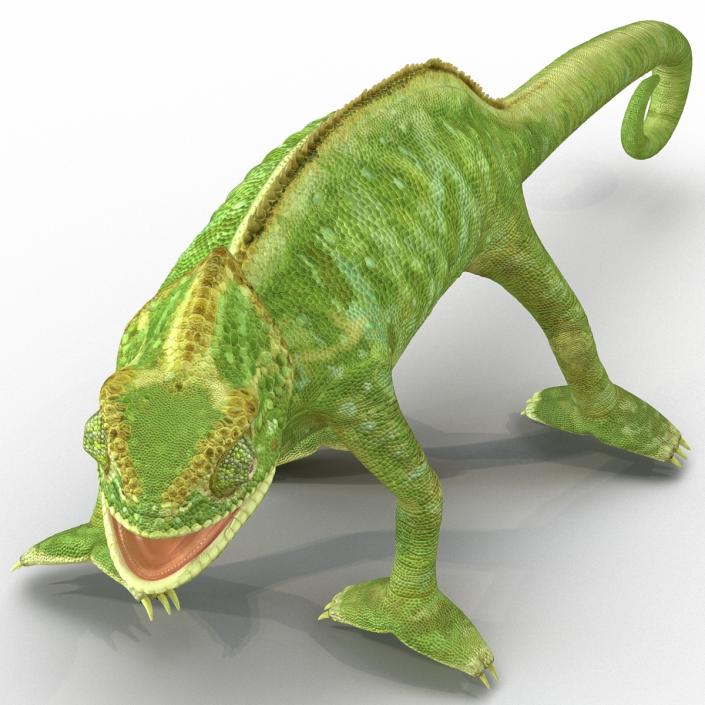 3D Chameleon Pose 4