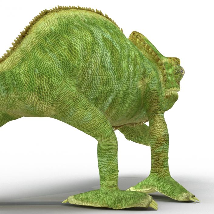 3D Chameleon Pose 3