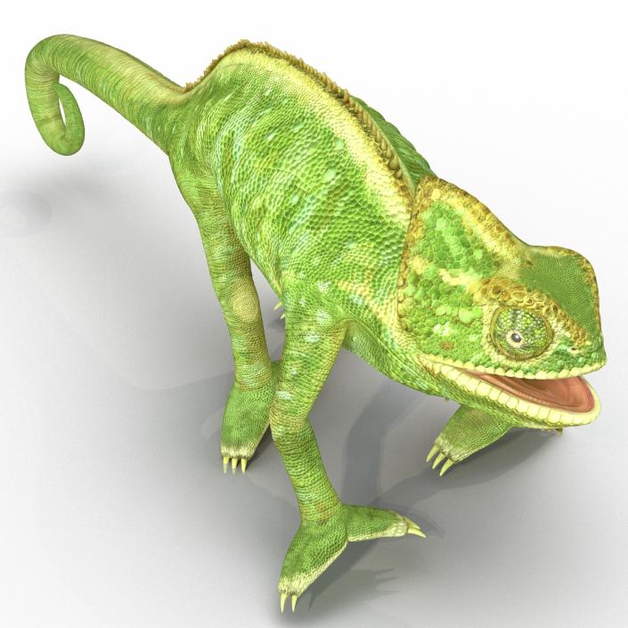 3D Chameleon Pose 4