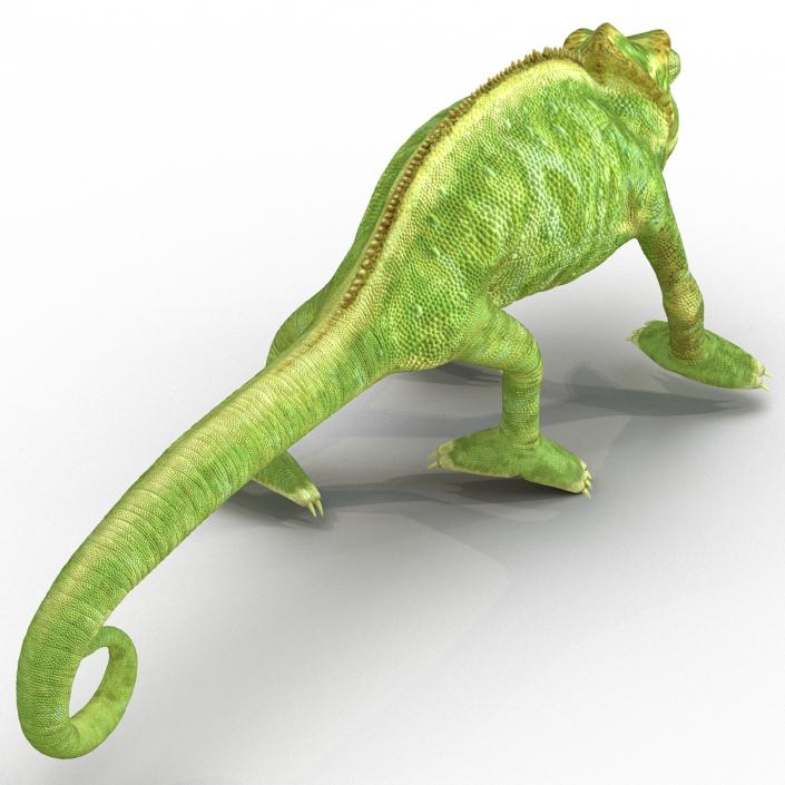 3D Chameleon Pose 4