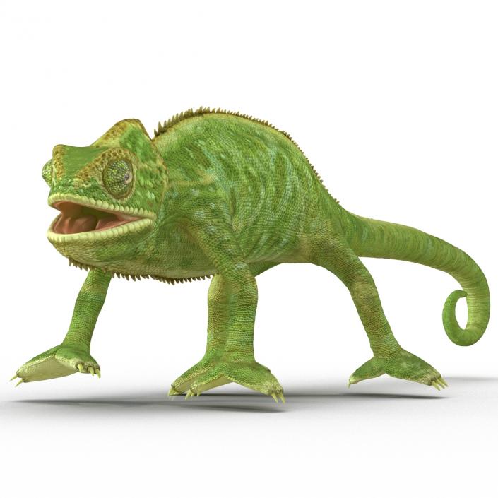 3D Chameleon Pose 4