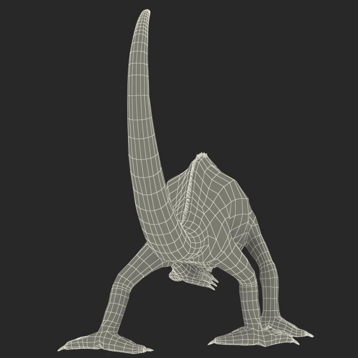 3D Chameleon Pose 3