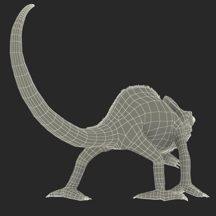 3D Chameleon Pose 3