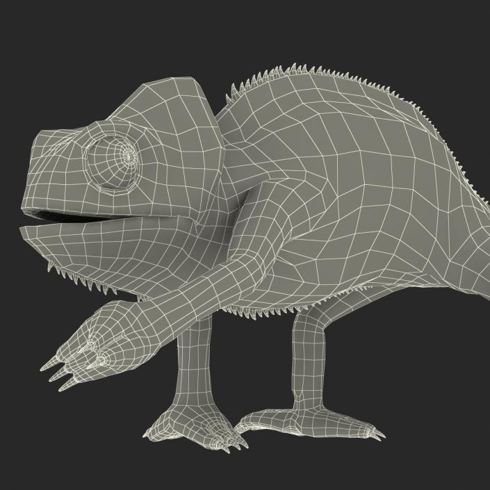 3D Chameleon Pose 3