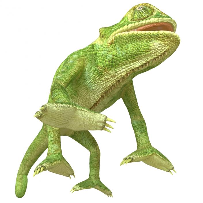 3D Chameleon Pose 4