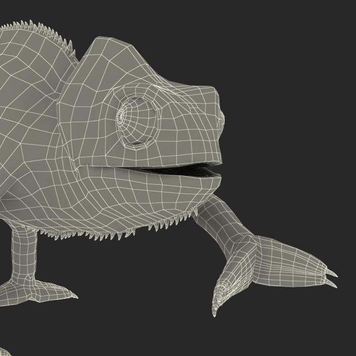 3D Chameleon Pose 3