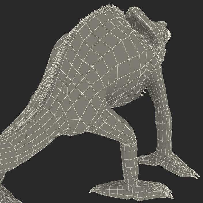 3D Chameleon Pose 3