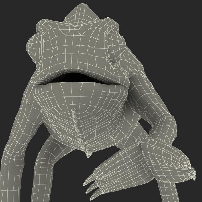 3D Chameleon Pose 3