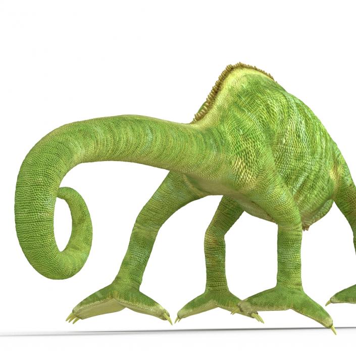 3D Chameleon Pose 4