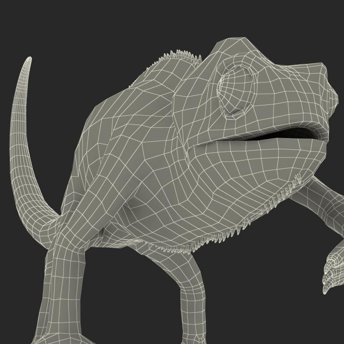 3D Chameleon Pose 3