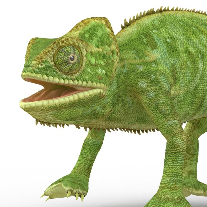 3D Chameleon Pose 4