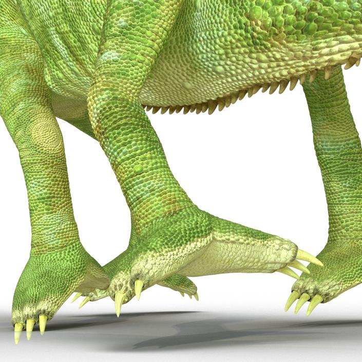 3D Chameleon Pose 4