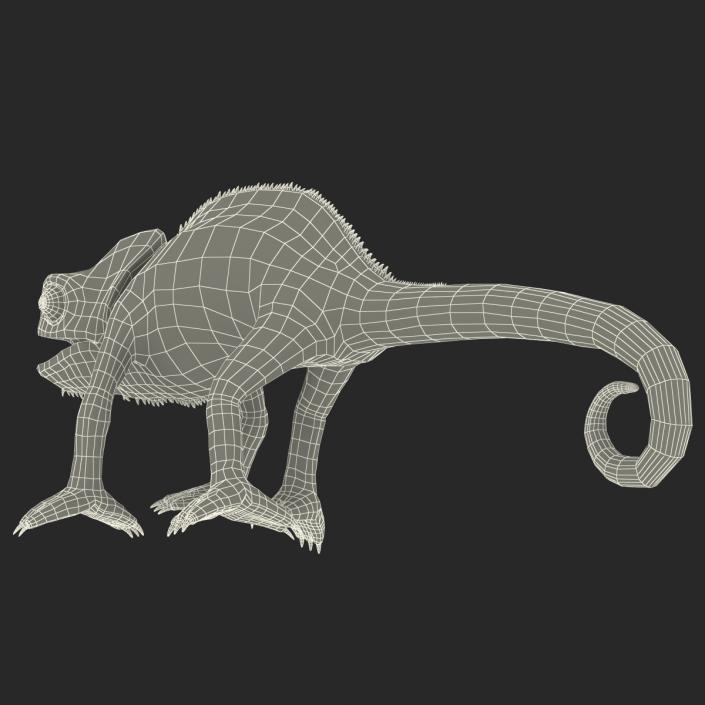 3D Chameleon Pose 4