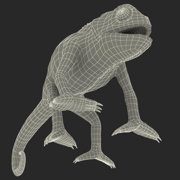 3D Chameleon Pose 4