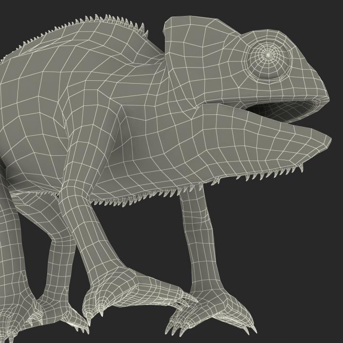 3D Chameleon Pose 4