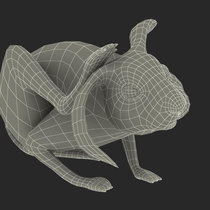 3D Rabbit Pose 4 model