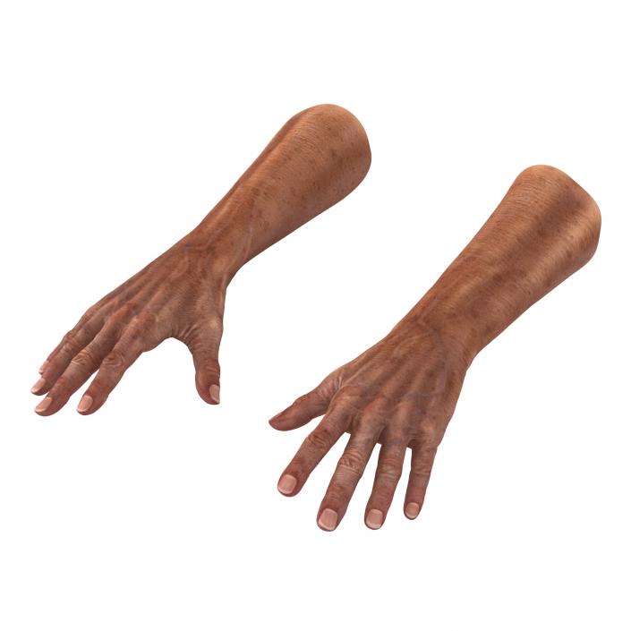 3D Old Man Hands model