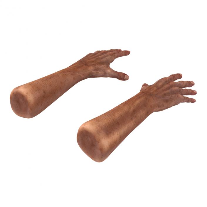 3D Old Man Hands model