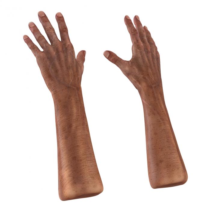 3D Old Man Hands model