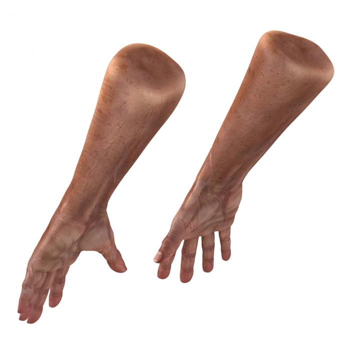 3D Old Man Hands model