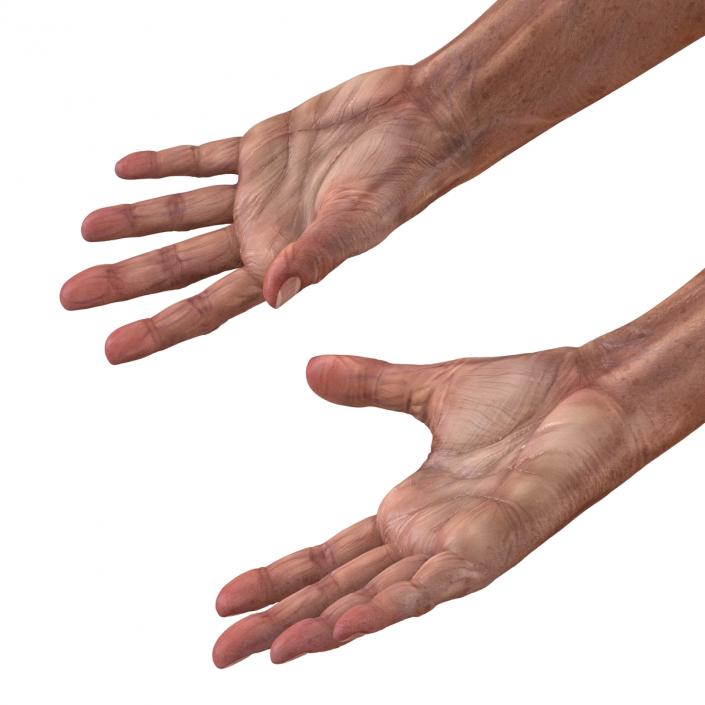 3D Old Man Hands model