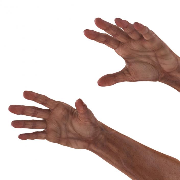 3D Old Man Hands model