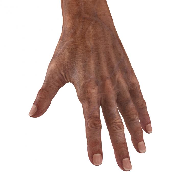 3D Old Man Hands model