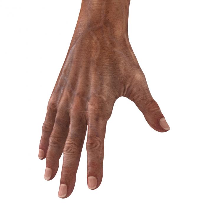 3D Old Man Hands model