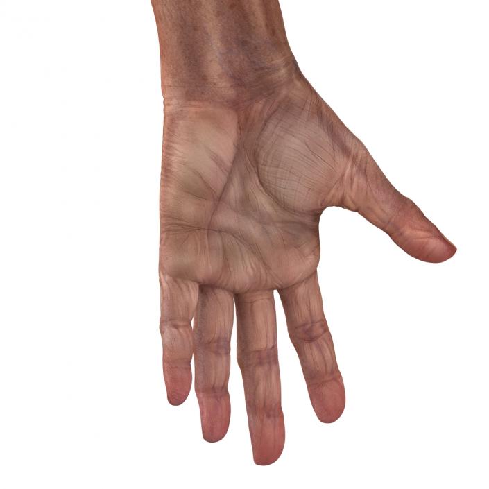 3D Old Man Hands model