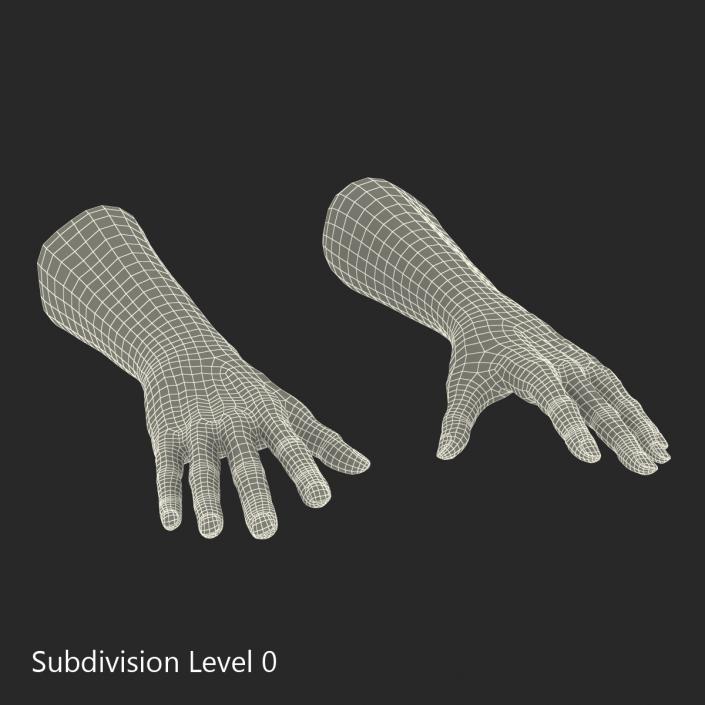 3D Old Man Hands model