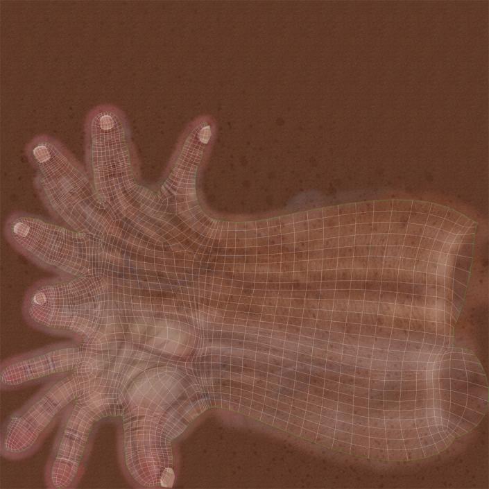 3D Old Man Hands model