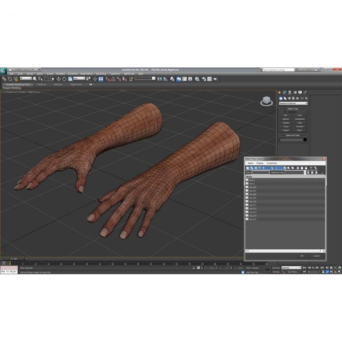 3D Old Man Hands model