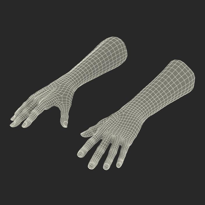 3D Old Man Hands model