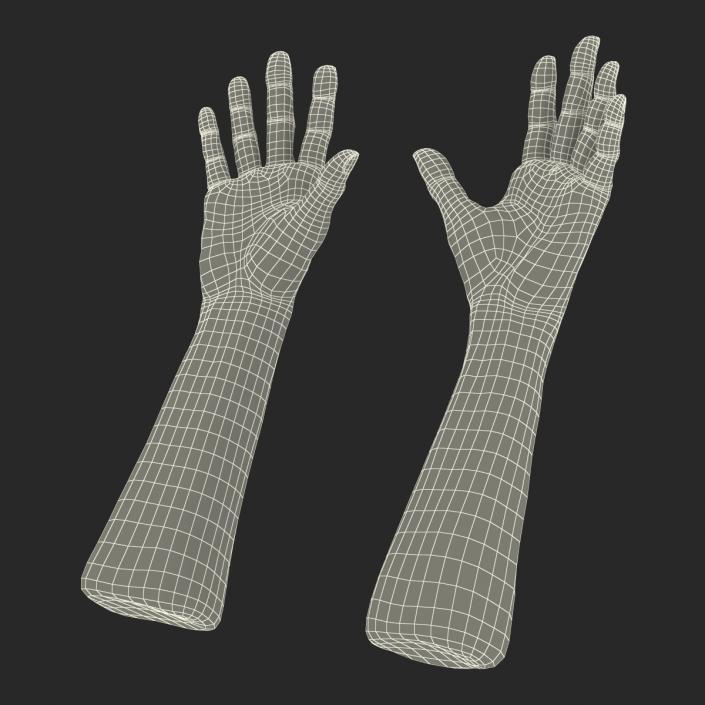 3D Old Man Hands model