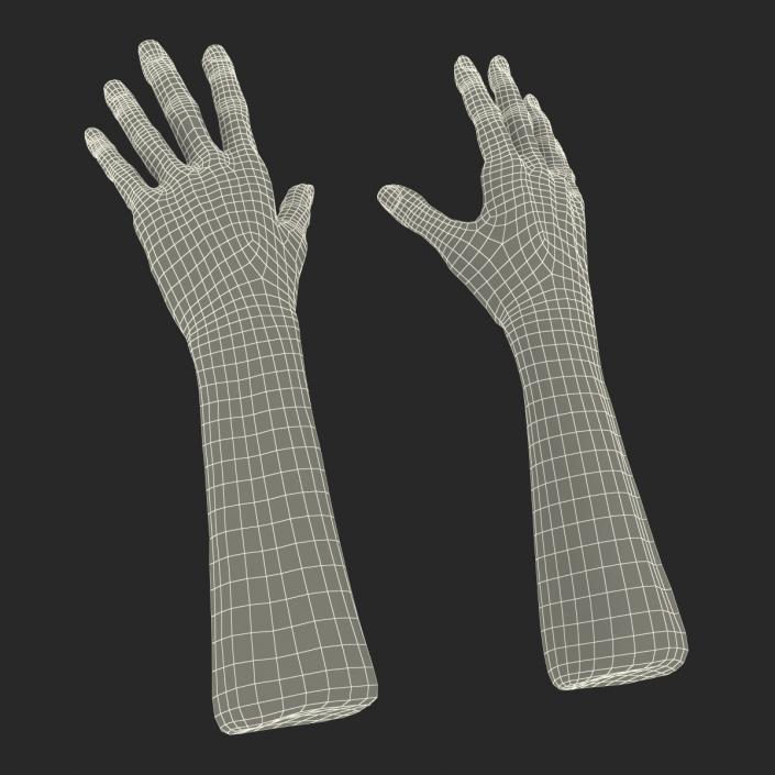 3D Old Man Hands model